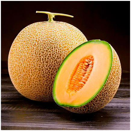 Melon Ice Cream flavour